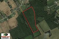 Timberland Property in Robeson County, North Carolina
