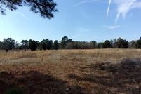 Undeveloped Land in Harrison County, Texas