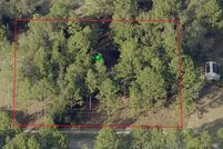 Undeveloped Land in Citrus County, Florida