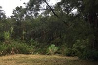 Undeveloped Land in Hawaii County, Hawaii