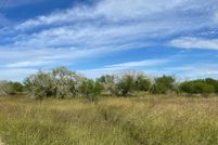 Undeveloped Land in Bee County, Texas