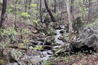 Timberland Property in Newton County, Arkansas