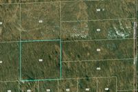 Undeveloped Land in Newaygo County, Michigan