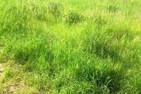 Land in Franklin County, Massachusetts