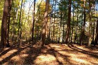 Homesite in Rutherford County, North Carolina