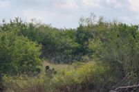 Farm and Ranch in Duval County, Texas