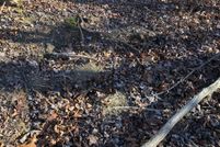 Recreational Property in Meigs County, Ohio