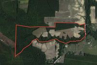 Hunting Property in Edgecombe County, North Carolina