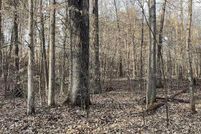 Undeveloped Land in Adair County, Kentucky