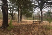 Undeveloped Land in Montgomery County, Arkansas