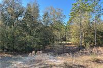 Undeveloped Land in Citrus County, Florida