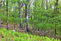 Undeveloped Land in Luzerne County, Pennsylvania