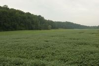 Farm and Ranch in Caroline County, Virginia