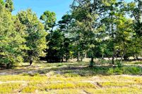 Undeveloped Land in Wood County, Texas