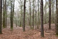 Undeveloped Land in Crenshaw County, Alabama