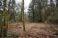 Undeveloped Land in Mason County, Washington