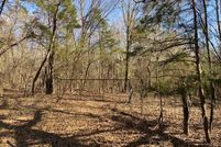 Undeveloped Land in Bowie County, Texas