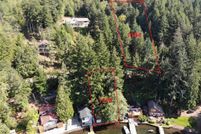 Undeveloped Land in Thurston County, Washington