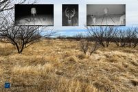 Farm and Ranch in Clay County, Texas