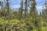Undeveloped Land in Hawaii County, Hawaii