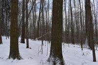 Farm and Ranch in Cattaraugus County, New York