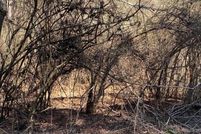 Undeveloped Land for sale in Talladega County, Alabama