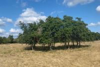 Farm and Ranch in Gillespie County, Texas