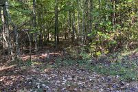Homesite in Lumpkin County, Georgia