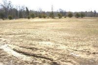 Homesite for sale in Clare County, Michigan