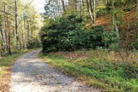 Land for sale in Jackson County, North Carolina
