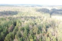Recreational Property for sale in Cleburne County, Alabama