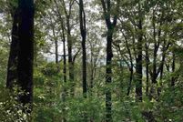 Homesite for sale in Greenville County, South Carolina