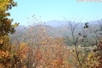 Undeveloped Land for sale in Ashe County, North Carolina