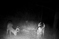 Hunting Property in Wilson County, Kansas