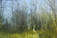 Land in Montgomery County, Kansas