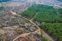 Undeveloped Land in Duplin County, North Carolina