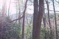 Land for sale in Towns County, Georgia