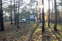 Undeveloped Land in Antrim County, Michigan