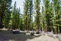 Land for sale in Plumas County, California