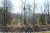 Undeveloped Land in Wexford County, Michigan