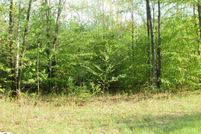 Undeveloped Land in Wexford County, Michigan