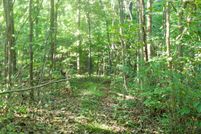 Hunting Property in Scioto County, Ohio