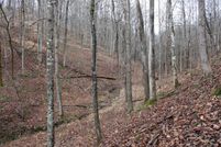 Undeveloped Land in Lawrence County, Ohio