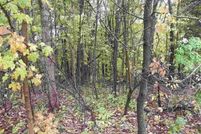 Undeveloped Land for sale in Jo Daviess County, Illinois