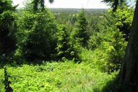 Land for sale in Lane County, Oregon