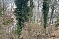 Land for sale in Franklin County, Virginia