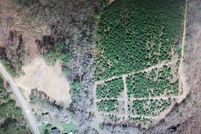 Land for sale in Halifax County, North Carolina