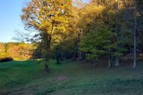 Undeveloped Land for sale in Alleghany County, North Carolina