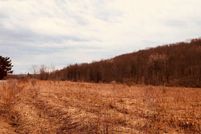 Undeveloped Land in Tioga County, New York
