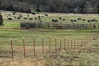 Land for sale in Conway County, Arkansas